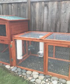 Royal Rooster Chicken Feeder and Chicken Waterer Set - 7 lb Poultry Chicken Feeder with Rain Cover and 1 Gallon Waterer System - Chicken Coop Accessories: Valve-Cup Waterer and Gravity-Feed Feeder Set 1-Cup Waterer 28 81uKMN4CPTL