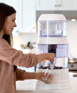 Ceramic Pre-filter Replacement by Santevia | Designed for Santevia's Gravity Water System | Removes Particles From Water | 0.3 Micron Pore Size 11 81uKaJckYwS