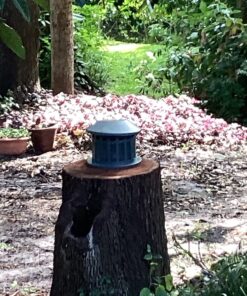 Woodlink Squirrel Diner Feeder Model 75590 beige 49 81uKdS7jvZL