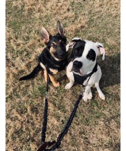 Sporn No Pull Dog Harness Large Size, Black Padded Durable Nylon Mesh Dog Harness, Breathable & Easy Dog Walking Harness for Puppy Training, Provides to All Large & Extra Large Breeds Large/XL 42 81uL iDxwwL