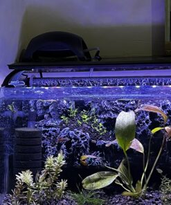 Tetra Whisper Air Pump with Minimal Noise and Maximum Air Flow 20 to 40 gallons 33 81uLm qVlL