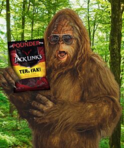 Jack Link's Beef Jerky, Teriyaki, 16 Ounce (Pack of 1) 20 81uM6Yfh0OL