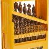 DEWALT Drill Bit Set with Metal Index, 29-Piece (DW1969) 31 81uN4O8DClS