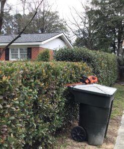 BLACK+DECKER 20V MAX Cordless Hedge Trimmer, 22-Inch, Tool Only (LHT2220B) 50 81uNCF2ZlKL