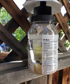 TERRO T380 Outdoor Reusable Fly Magnet Fly Trap - Poison Free Fly Killer and Trap with Bait 39 81uPcWvDL