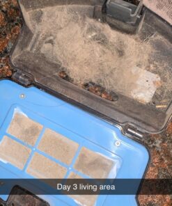 Coredy R550 Ultra Robot Vacuum and Mop Combo, 2200Pa Strong Suction, 2.76 Inch Thin, 120 Mins Runtime, Upgraded Smart Sensor Protection, Super Quite, Self-Charging Robotic Vacuum for Hard Floors, Tile 57 81uRdp LewL