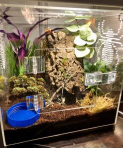 Source One Premium Acrylic Cube Donation Box with Deluxe Rear Open Door and Cam Lock Suggestion Box 10 Inch 10 81uT3ezeQrL