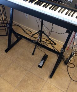 M-Audio SP-2 - Universal Sustain Pedal with Piano Style Action For MIDI Keyboards, Digital Pianos & More 51 81uV5y02w L