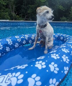 SwimWays Paddle Paws Spring Float Dog Raft, Small (0-65 lbs.) 29 81uVFt3J65L