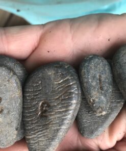 DO-IT NR-4-A No Roll Sinker Mold 3 81uXec5t9aL