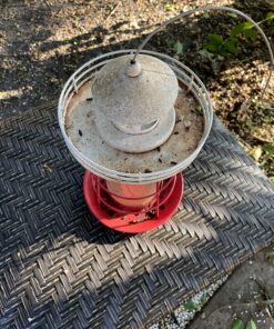 Cole's FS16 Flaming Squirrel Seed Sauce, 16-Ounce 1 30 81uYIApOO3L