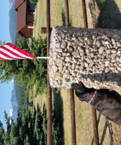 American Flag 2x3-100% Made In USA using Tough, Long Lasting Nylon Built for Outdoor Use, Featuring Embroidered Stars and Sewn Stripes plus Superior Quadruple Stitching on Fly End 2 by 3 Foot 25 81uZoNPv5LL