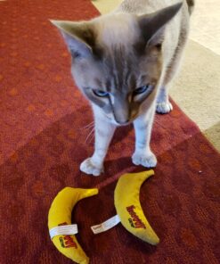 Yeowww! Yellow Banana Catnip Toy (2 Pack) 28 81ucvyX2pDL