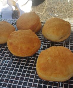 KITCHENATICS Half Sheet Cooling Rack for Cooking and Baking, Stainless Steel Baking Rack & Wire Rack, Bacon Grill Rack for Oven, Heavy-Duty Wire Cookie Cooling Rack fits Half Sheet Pan - 11.8 x 16.9 11.8" x 16.9" Half Sheet - 1 PC 35 81uid2cJvgL