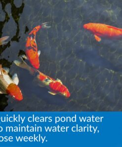 Alternative view of API POND ACCU-CLEAR Pond Water Clarifier 16-Ounce Bottle Pond Treatment 16 oz