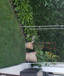 Adorox 7.8ft Backdrop Stand - Balloon Arch Kit, Stable Balloon Arch Frame, Metal Wedding Arch for Wedding Birthday Party Baby Shower Decoration(White) 1 White 1pc 43 81uoN1G1gvL