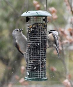 Premium Steel Sunflower Seed and Peanut Feeder, 9.5" Tall, Wild Bird Feeder for Woodpeckers, Titmice, Nuthatches, Chickadees, Jays and More, Gifts for Mom, for Women, Gifts for Dad 9.5 inch 32 81ur7V8HAeL