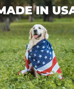 Forticept Maxi-Wash Hot Spot Treatment, Wound Care & Itch Relief Spray for Dogs and Cats. Relives Scratching, Rashes, Sores, Itchy Skin and Paw Licking 8 oz 8 Fl Oz (Pack of 1) 16 81urorhc19L