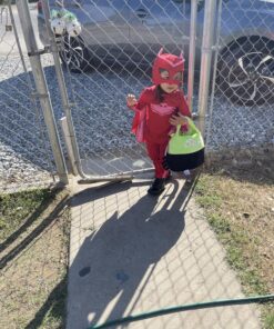 PJ Masks Owlette Classic Costume for Toddler Small (2T) Multi-colored 21 81uuDJQOJNL