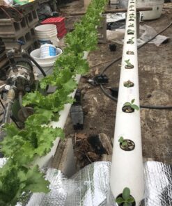 BN-LINK Short Period Repeat Cycle Intermittent Timer, Interval Timer - Day, Night, or 24 Hour Operation, Photocell Light Sensor Dusk to Dawn for Hydroponics Aquaponics Aeroponics 4.3 in * 2.3 in* 2.1 in 41 81uutPUzwvL