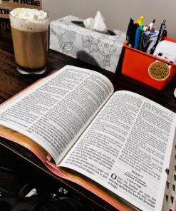 KJV Holy Bible, Giant Print Full-size Faux Leather Red Letter Edition - Thumb Index & Ribbon Marker, King James Version, Pink Leather Bound 63 81v2ge4m8IL