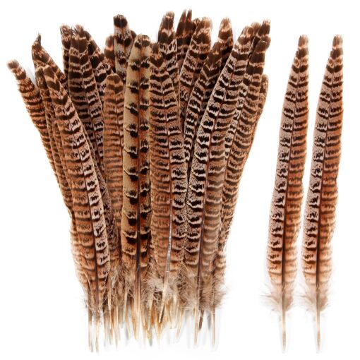 THARAHT 24pcs Female Ringneck Pheasant Tails Feathers Natural Feathers 10-12inch 25-30cm for Crafts Home Wedding Party Performance DIY Decoration Female Pheasant Feathers Female Pheasant feather-10-12inch