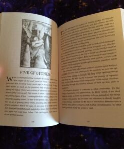 Chrysalis Tarot Companion Book 28 81v7b3rMxvL