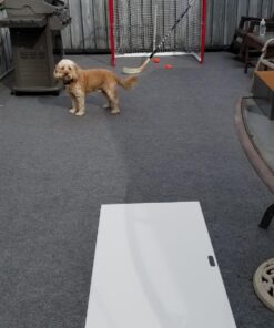 Mylec Easy Assemble Steel Hockey Goal for Indoor + Outdoor - 52” x 43” x 28” - 17 pounds - Light + Portable 24 81vAzxKyXuL