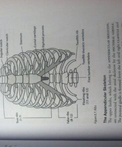 TEAS V Study Guide 2016:: TEAS Test Prep and Practice Questions for the TEAS Version 5 Exam 36 81vBoh5ExpL
