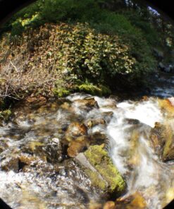 Altura Photo 58MM 0.35x Fisheye Canon Wide Angle Lens (w/Macro Portion) for DSLR Cameras EOS Rebel 70D 77D 80D 90D T8i T7 T7i T6i T6s T6 T5i T5 T4i T3i T100 SL1 SL2 SL3 - Canon Mount 49 81vBpY6vhuL