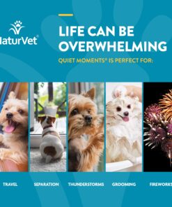 NaturVet Quiet Moments Calming Aid Dog Supplement – Helps Promote Relaxation, Reduce Stress, Storm Anxiety, Motion Sickness for Dogs – Tasty Pet Soft Chews with Melatonin – 70 Ct. Dog - Quiet Moments Melatonin 70 Soft Chews 22 81vCppv2KOL