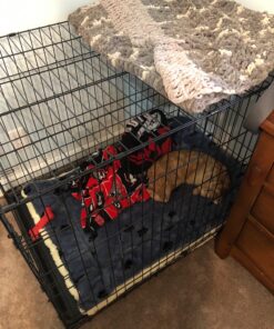 MidWest Homes for Pets Reversible Paw Print Pet Bed in Blue / White, Dog Bed Measures 40L x 26W x 3.5H for Large Dogs, Machine Wash 40.0"L x 26.0"W x 3.5"Th 25 81vERaJhK3L