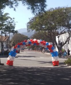 ABCCANOPY Canopy Weights 112 LBS Gazebo Tent Sand Bags,4pcs-Pack (Black) Medium Black 35 81vJwYhSTWL