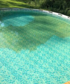 Intex Handheld Rechargeable Vacuum with Telescoping Aluminum Shaft and Two Interchangeable Brush Heads , Gray/Black 37 81vKU1yFa7L