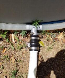 Intex Krystal Clear Sand Filter Pump for Above Ground Pools, 14-inch, 110-120V with GFCI 14 in Pump only 49 81vKXX7jffL