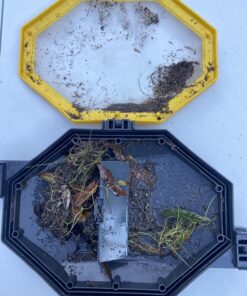 Intex Recreation Corp 28001E Intex Auto Pool Cleaner, 1 Pack, Grey Above Ground 37 81vMisu6AL