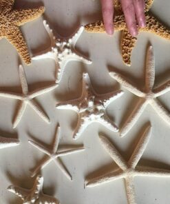 U.S. Shell, Inc. Starfish Mix 21 81vP2OUEhsL