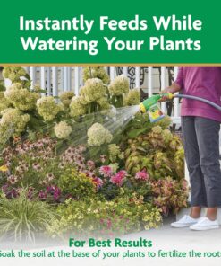 Miracle-Gro Water Soluble All Purpose Plant Food 5 lb. 1 Pack 42 81vPpRslRhL