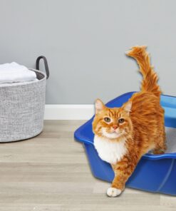 Pureness Giant Cat Litter Pan, Assorted Colors 25 81vPvOTLoeL