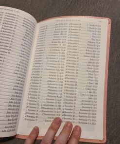 KJV Holy Bible, Giant Print Full-size Faux Leather Red Letter Edition - Thumb Index & Ribbon Marker, King James Version, Pink Leather Bound 61 81vT wHNkIL