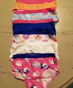 Fruit of the Loom Girls' Little 6pk Assorted Hipster Little Girls 2-3T 9 81vVYpu0yRL