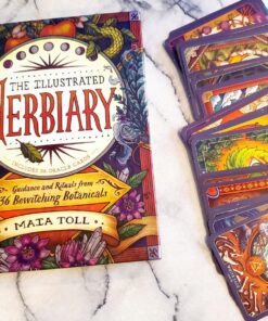 The Illustrated Herbiary: Guidance and Rituals from 36 Bewitching Botanicals (Wild Wisdom) 64 81vYANsu02L