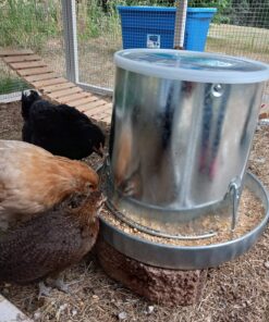 Harris Farms 1000293 Galvanized Hanging Poultry Feeder, 15 lbs, Metal 15 lb 27 81vbDo2zAXL