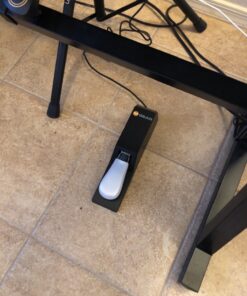 M-Audio SP-2 - Universal Sustain Pedal with Piano Style Action For MIDI Keyboards, Digital Pianos & More 52 81vf5pbPJnL