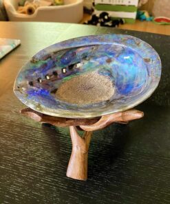 Premium Polished Abalone Shell, Large, 5-6 inches, with Wooden Stand, for Smudging, Cleansing, Home Decor, Gift Box. 100% Natural Colour - Sustainably Sourced by Ocean Shell Studios New Zealand 5-6" Polished Shell + Stand 23 81vfMXSSHwL