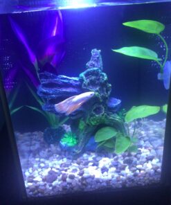 Fluval SPEC Freshwater Aquarium Kit, Aquarium with LED Lighting and 3-Stage Filtration, 2.6 Gallon, Black, Large Breeds 2.6 Gal. 45 81viUGKigPL