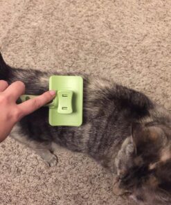 Coastal Pet Safari - Cat Self-Cleaning Slicker Brush - Cat Grooming Supplies Pack of 1 38 81virlmaTL