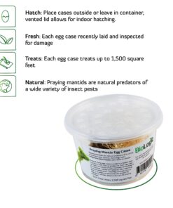 BioLogic Company, Inc. Praying Mantis Egg Cases - 2 Extra Large Cases 25 81vjVtRyPL