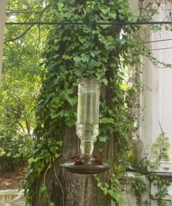 Perky-Pet 65 Hanging Chain for Bird Feeder, 33-Inch 16 81vmPznlErL