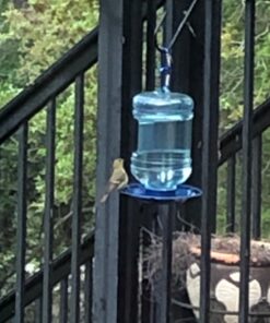 Perky-Pet 780 Outdoor Hanging Water Cooler Bird Waterer and Dispenser,Blue, 1.5 Qt Capacity 47 81vmcG7hHkL